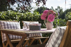 Birke -Terrasse